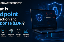What Is Endpoint Detection and Response (EDR)?